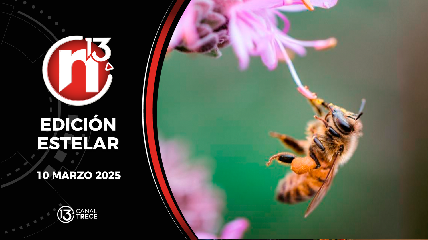 Trece Noticias Edición Estelar | 10 Marzo 2025 