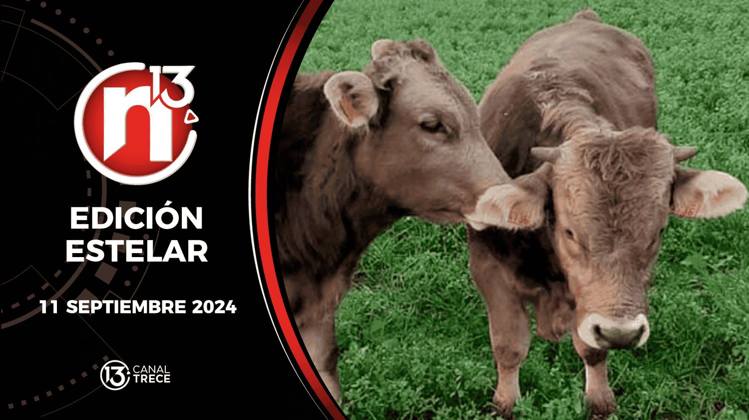 Trece Noticias Edición Estelar | 11 septiembre 2024 