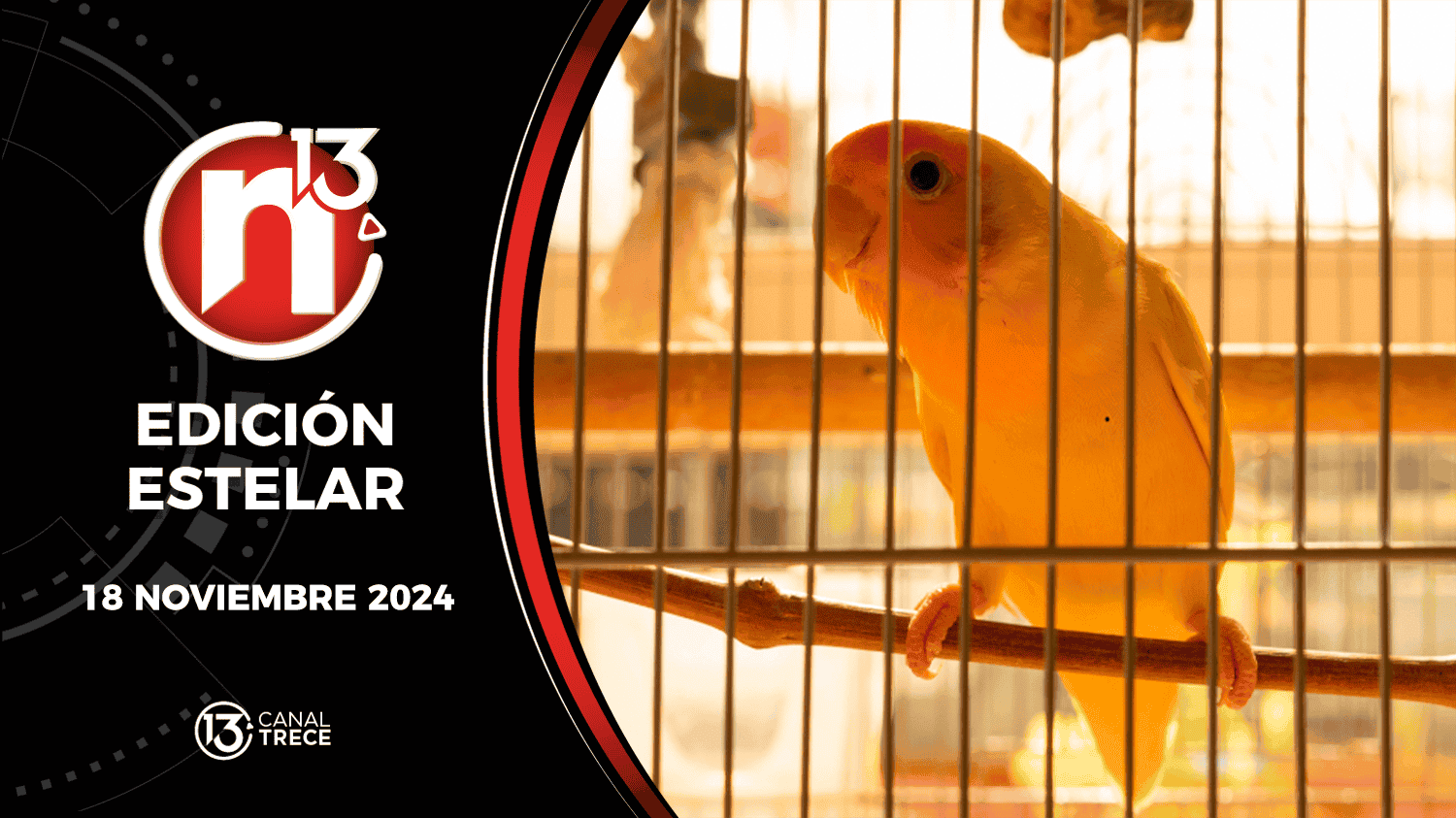 Trece Noticias Edición Estelar | 18 noviembre 2024