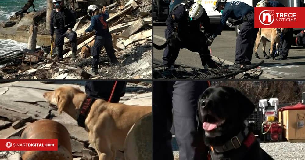 La policía explora una calcinada Los Ángeles en busca de cadáveres