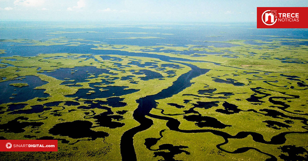 Sequía extrema pone a prueba la fauna y el turismo en los Everglades de Florida