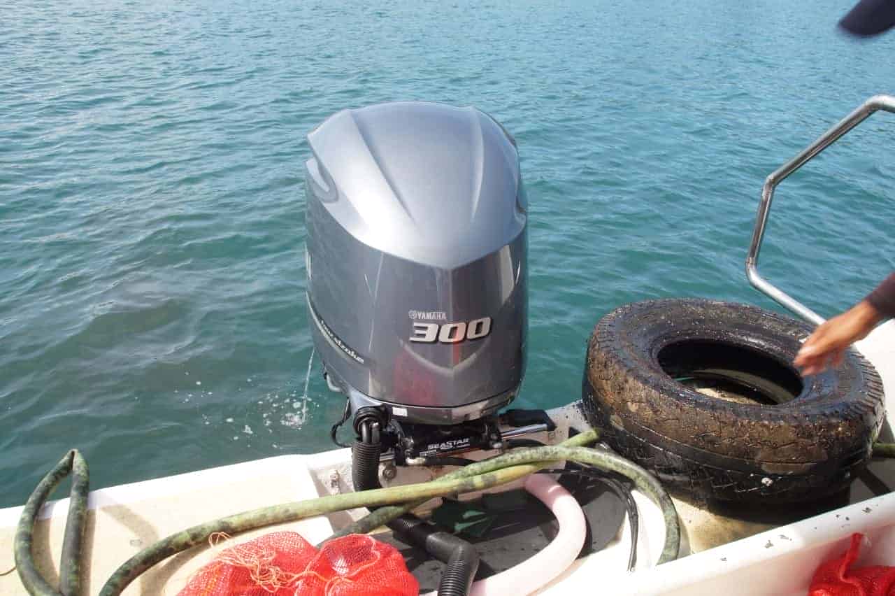 Sacan casi tres toneladas de residuos del fondo marino en Carrillo de Guanacaste