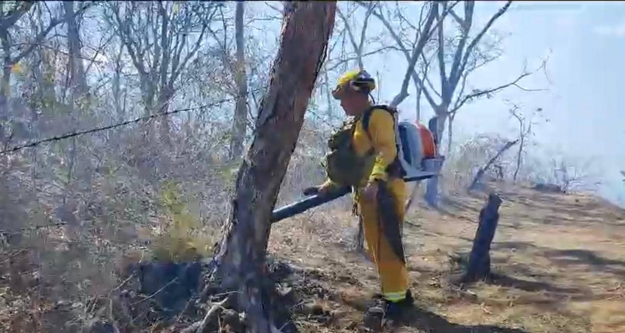 Cuerpo de Bomberos atiende un nuevo incendio forestal en Guanacaste