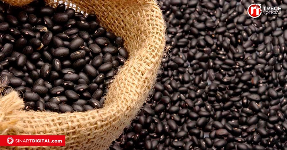 CNP señala baja de 3.27% en precio del frijol negro en supermercados 