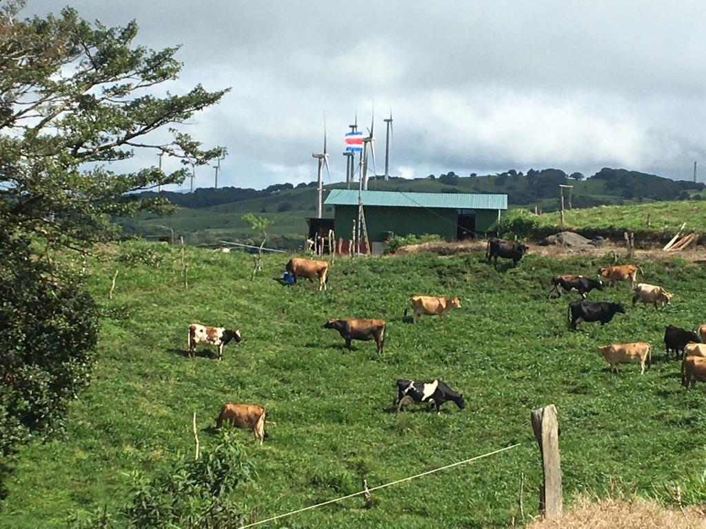 Ganaderos de la región Chorotega mejorarán en prácticas sostenibles 