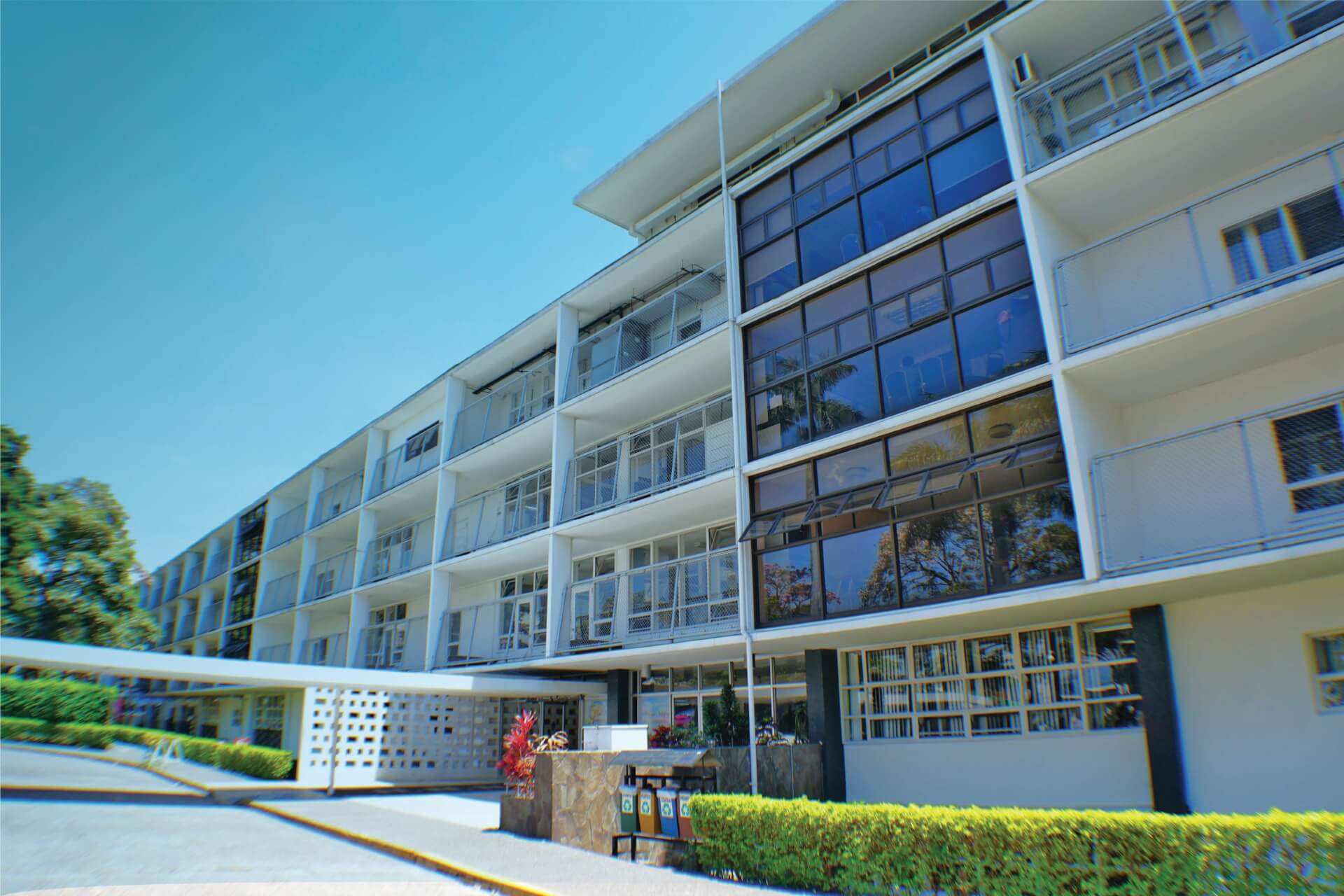 País reporta 101 casos de dengue en niños 