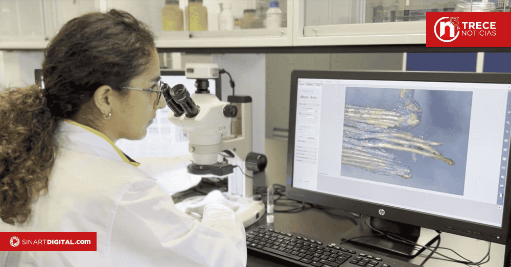 Bomberos analiza si bicicletas eléctricas causaron gran incendio en San Pedro 