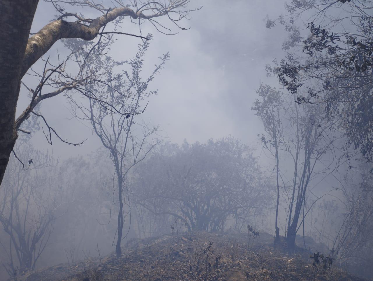 Incendios forestales sin dar tregua en Guanacaste y Puntarenas