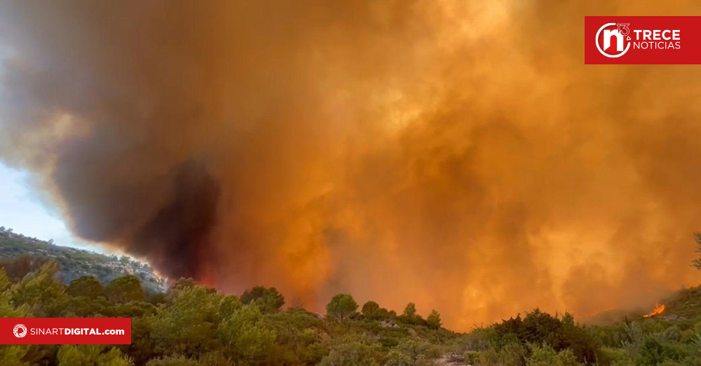 Un muerto y nueve heridos en un gran incendio forestal en Francia