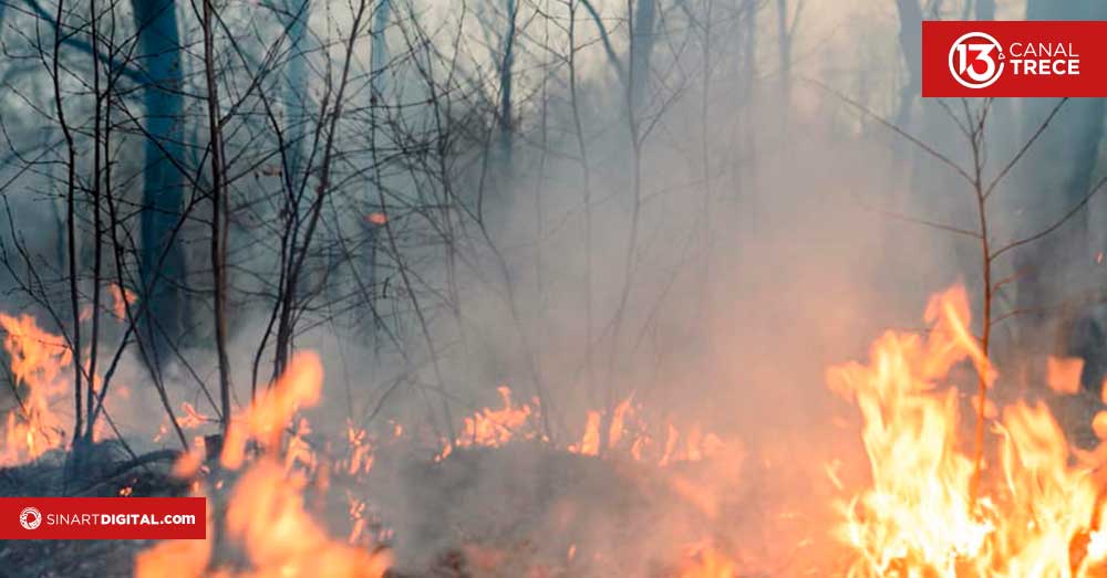 SINAC previene sobre incendios forestales por fuertes vientos