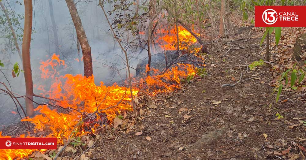 Este año el MINAE ha atendido un total de 76 incendios forestales en el país