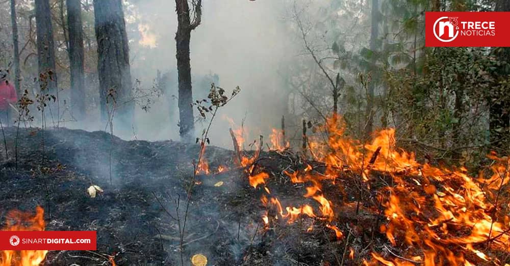 Bomberos atendieron primer incendio forestal del 2025