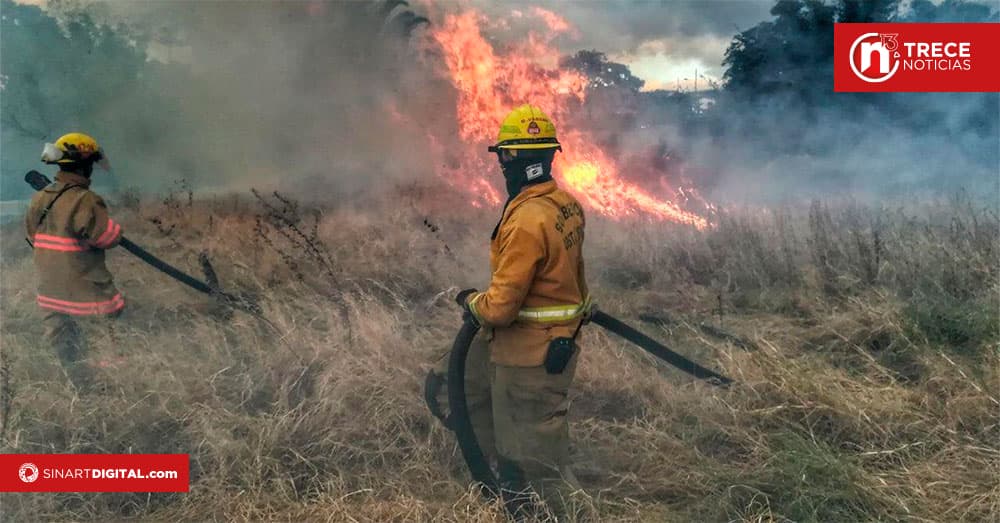 País registra cifra récord en incendios forestales