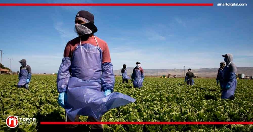 Grupos pro-inmigrantes anuncian demanda por ley contra migración irregular de Florida