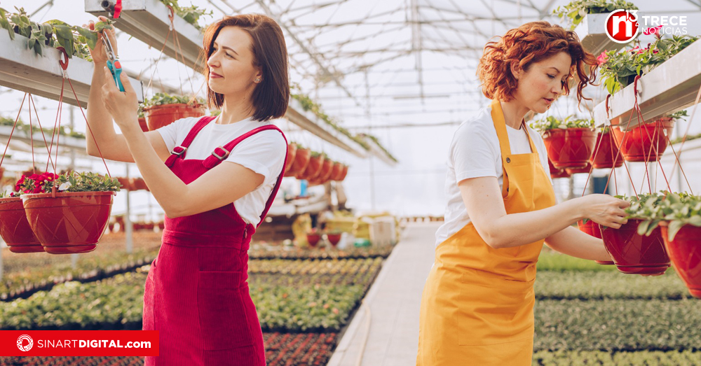 Instituciones públicas avanzan hacia la igualdad de género