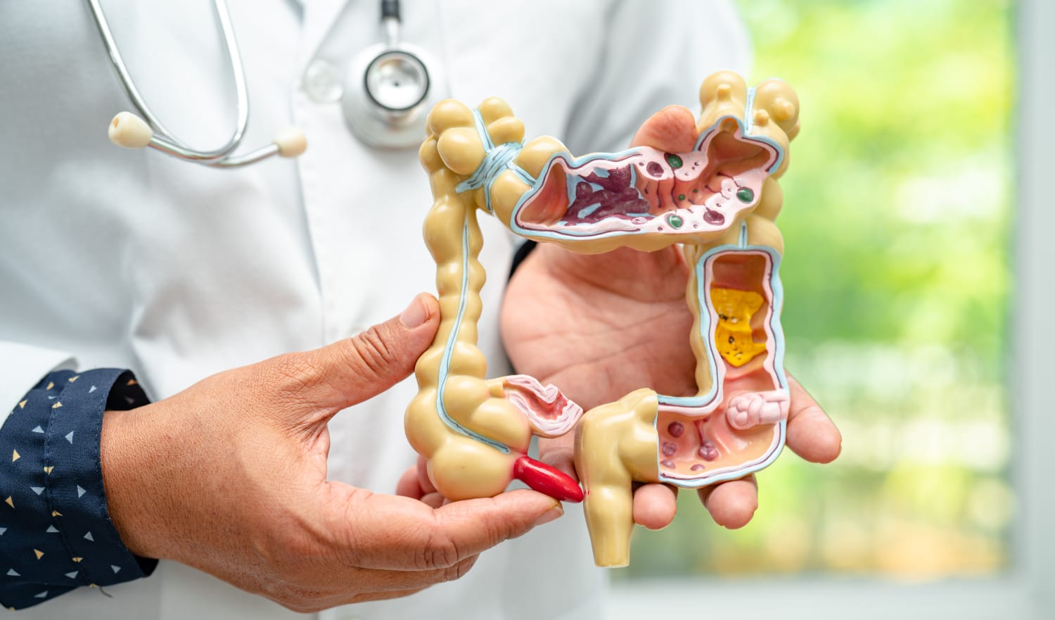 Estrés, ansiedad y depresión podrían afectar la microbiota de su intestino