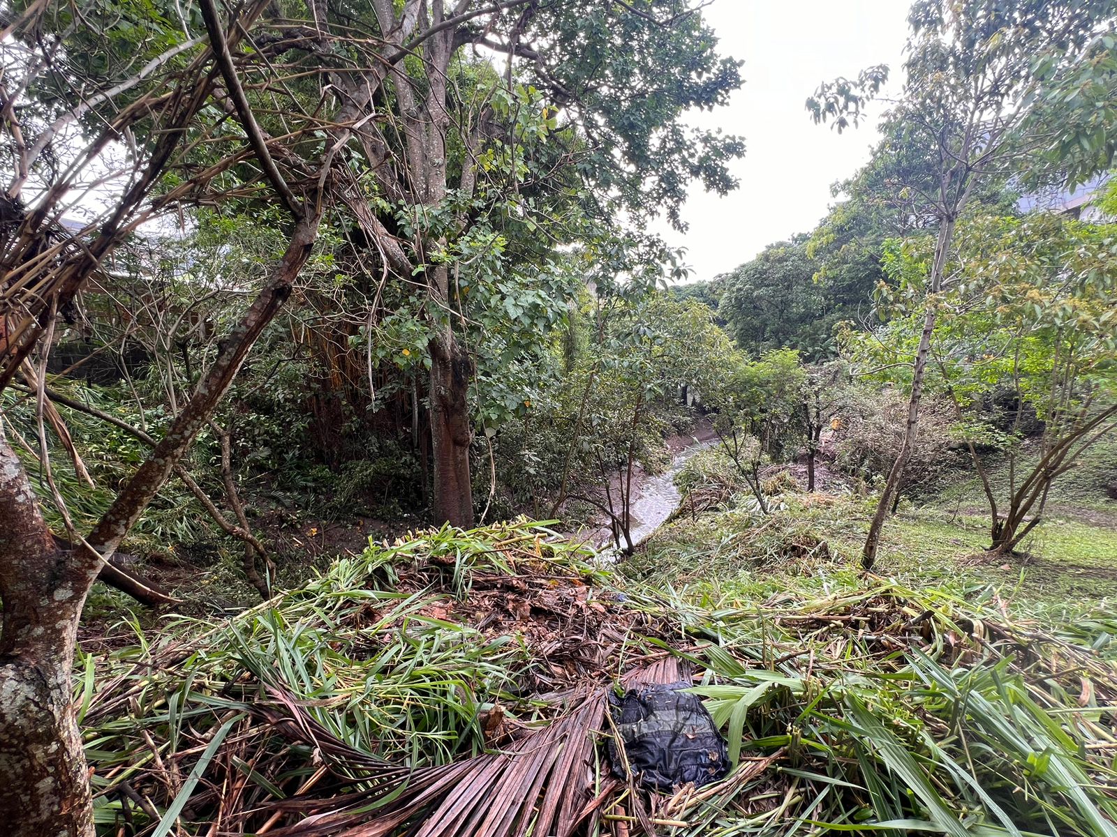 ¿Sabía usted que algunas de sus conductas podrían causar inundaciones?