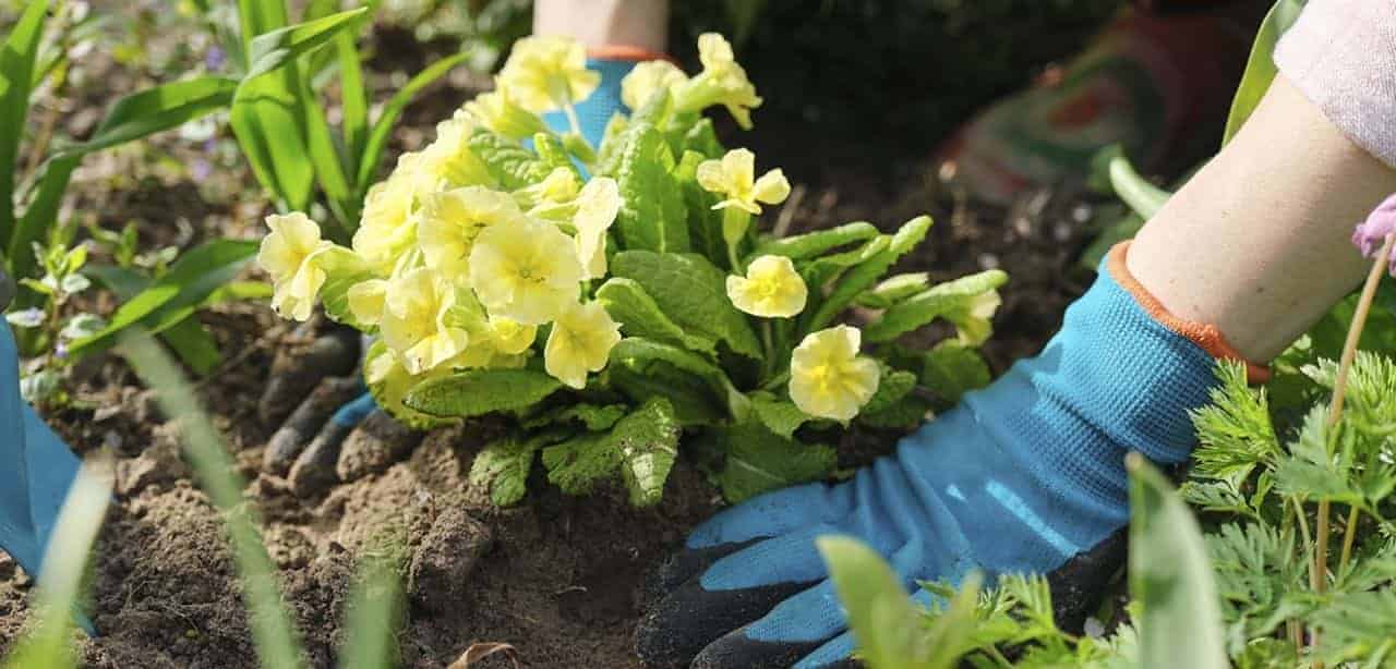 Experta propone interesante manera para hablar con niños sobre drogas