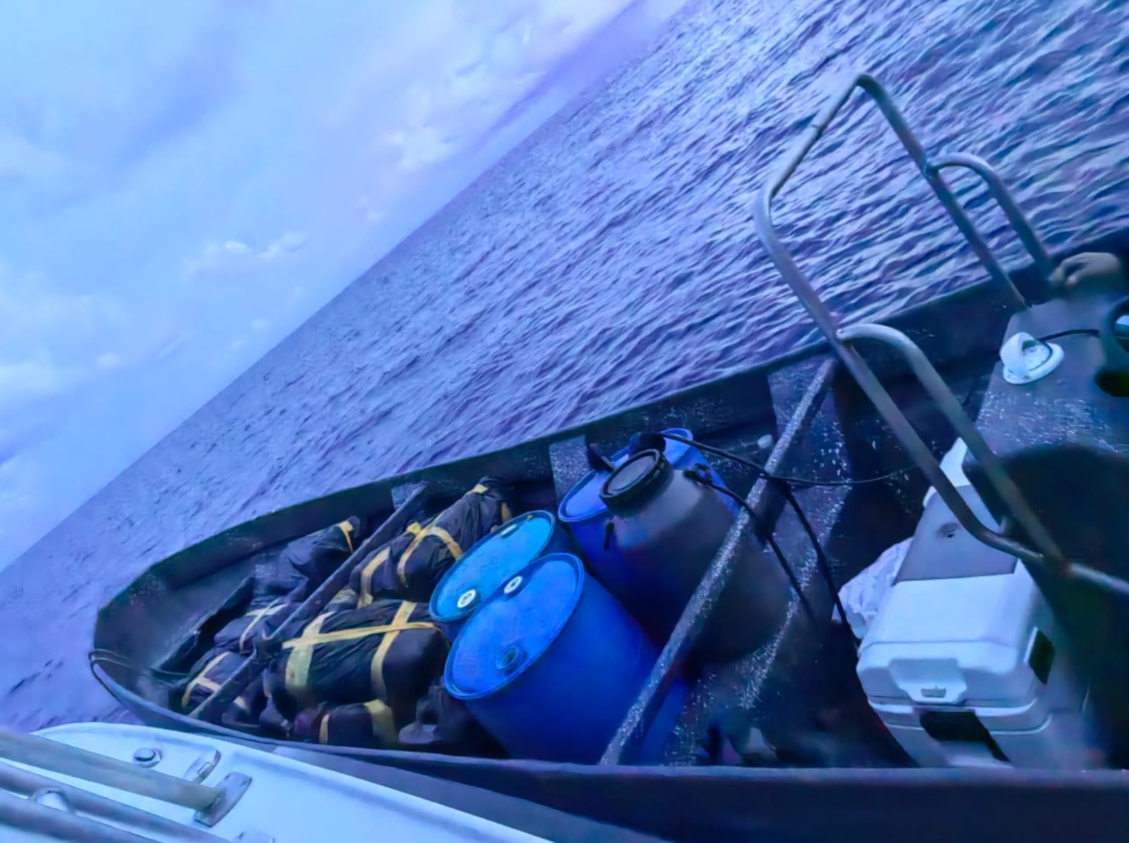 Seguridad ha decomisado poco más de 14 toneladas de droga en este 2024