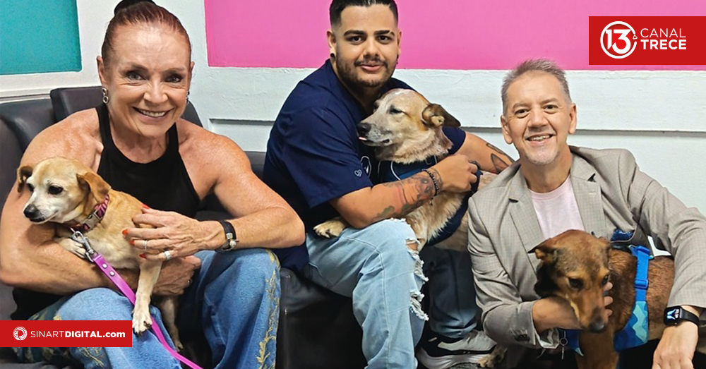 Logan el perrito Tiktoker ayuda en la Zaguatón