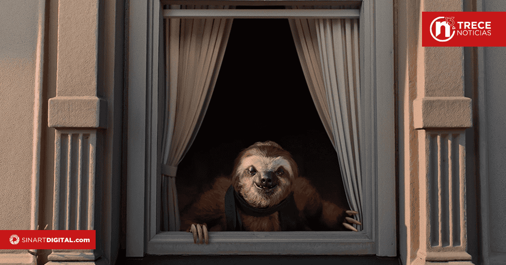 “Pura Vida, Madrid” es el mensaje de un carismático perezoso tico en Europa