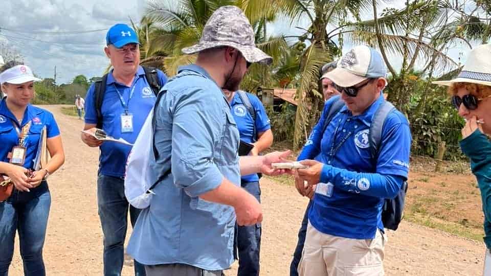 ¡Atención! Si visitó destinos afectados por la malaria durante las vacaciones de medio año, tome precauciones