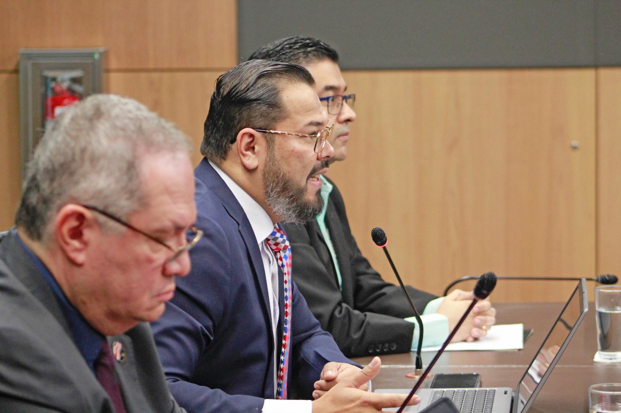 ICE garantiza estabilidad eléctrica y tarifas para 2025