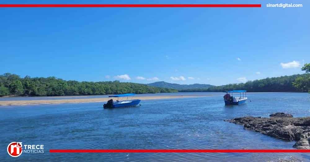 Estudio coloca los manglares como la mejor barrera para evitar afectación de mareas altas