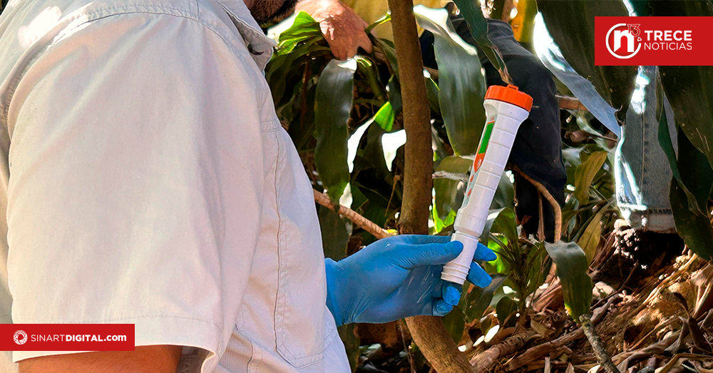 Orden sanitaria: Matadero en Alajuela deberá entregar plan de acción para revertir malos olores