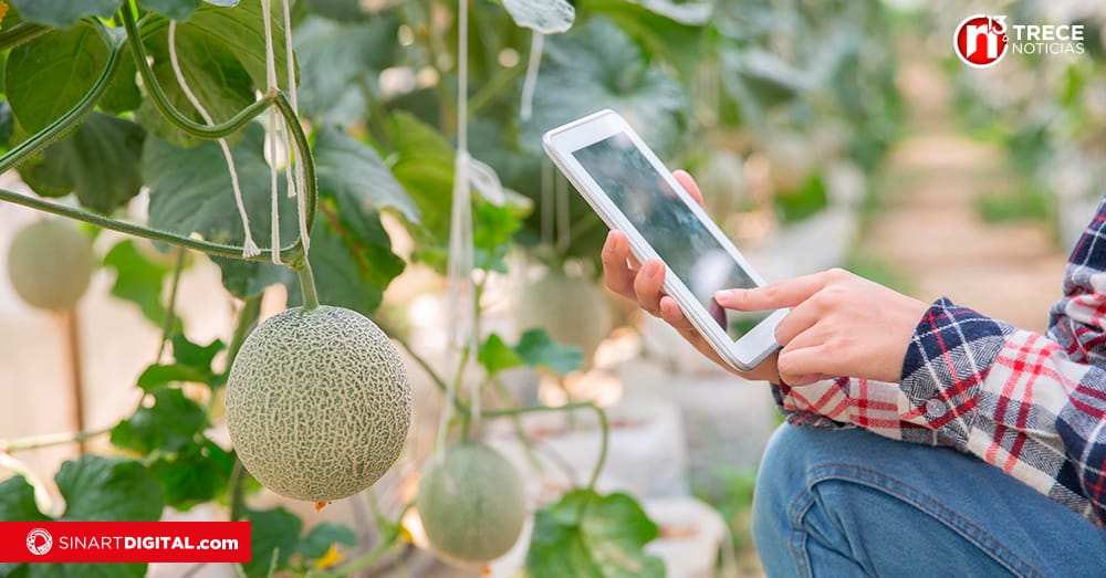 Pymes y Pympas se beneficiarán de Inteligencia Artificial a través de plan piloto