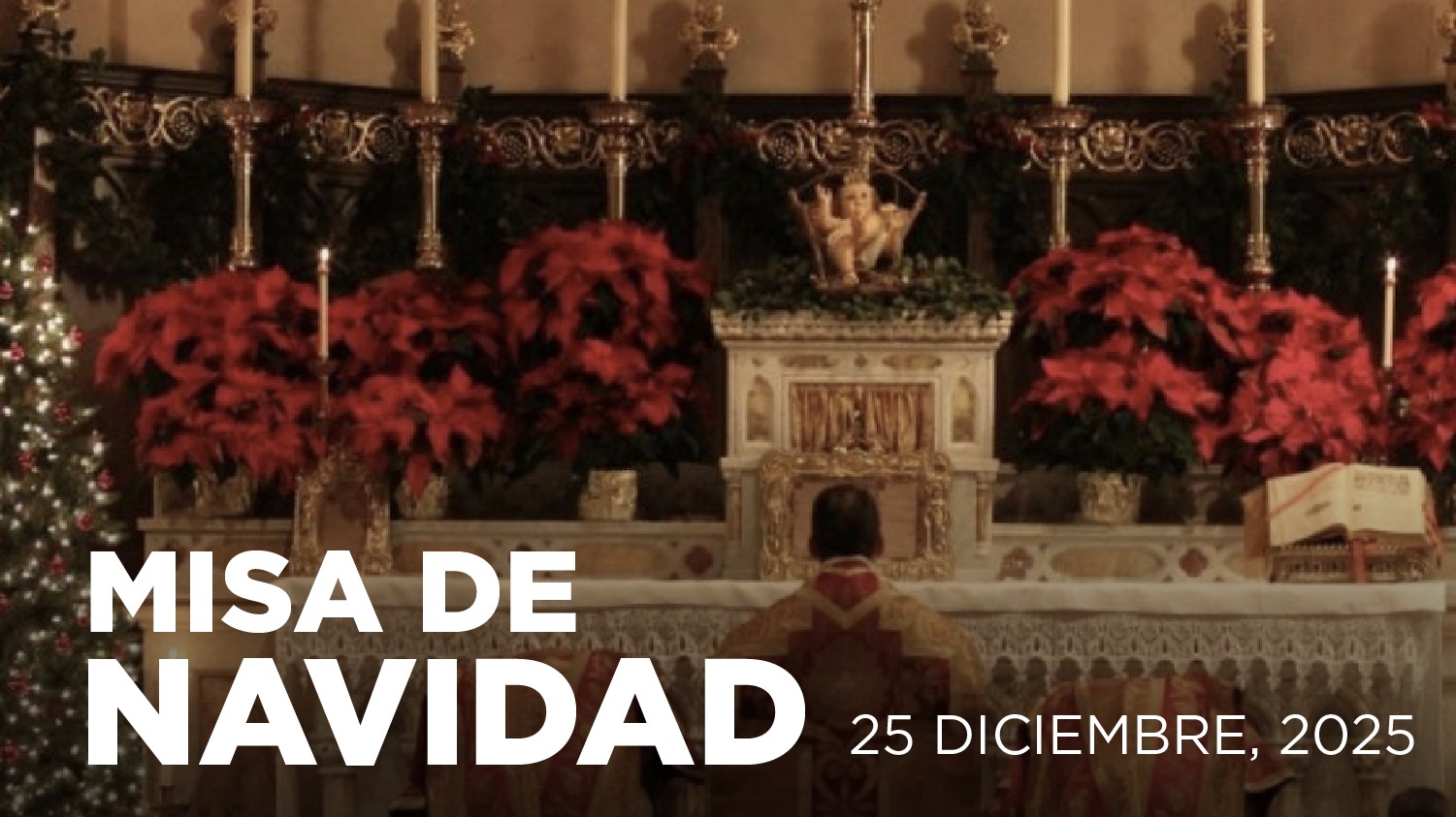Santa Misa 25 diciembre 2025