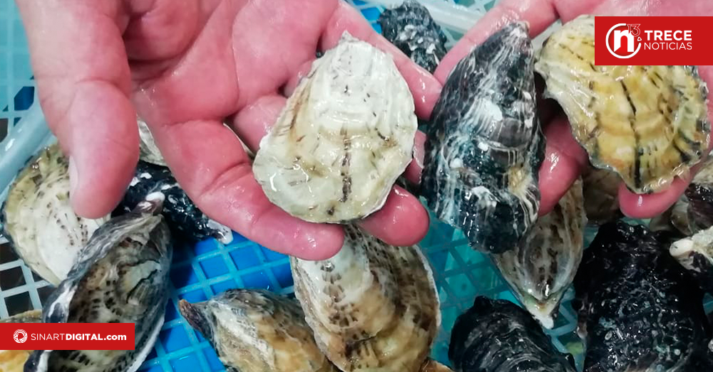 Costa Rica lidera la conservación marina con pagos por servicios ambientales