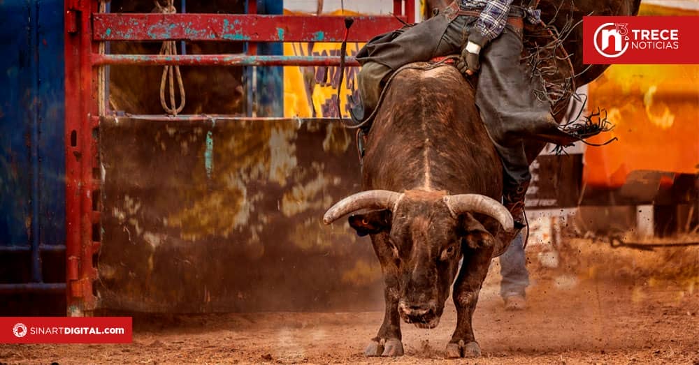 Montadores y toreros improvisados contarán con póliza para las corridas