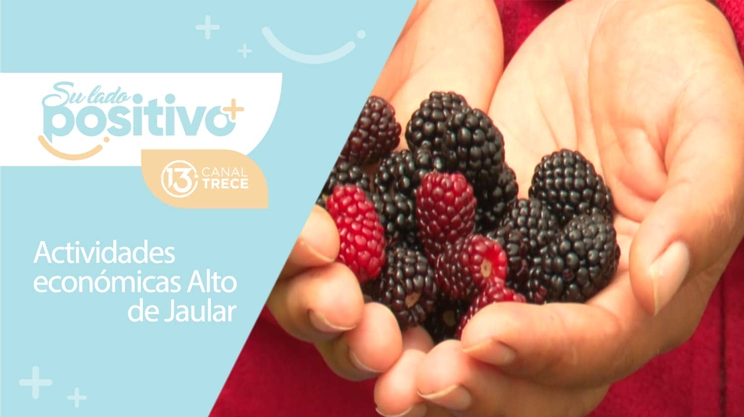 Actividades económicas  Alto Jaular | 28 setiembre 2023