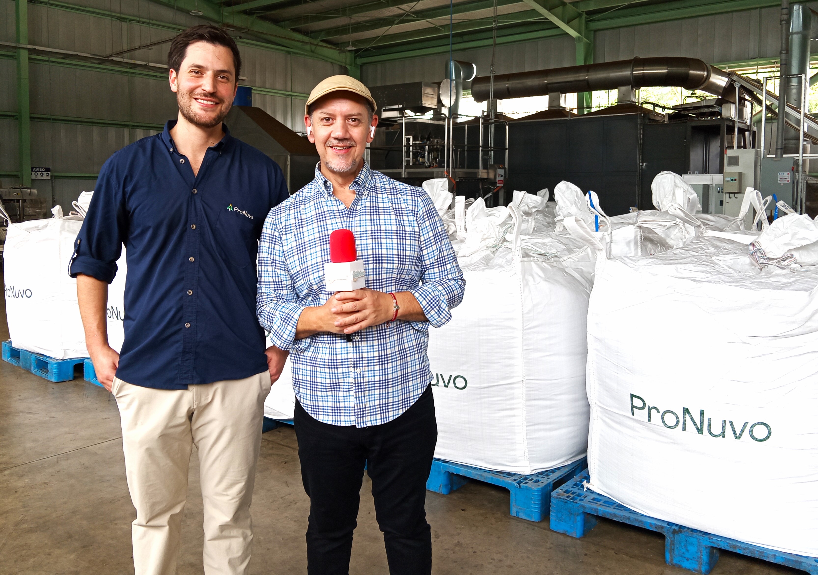 Delicioso bocadillo hecho con moscas