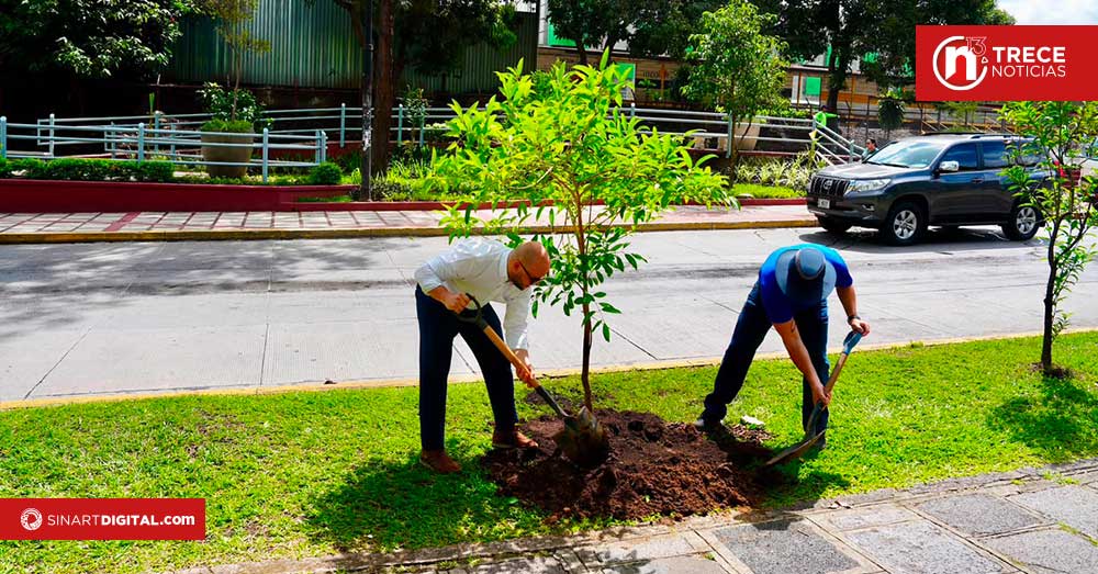 Municipalidad de San José apuesta por sembrar 3.000 árboles para reducir el calor en la capital