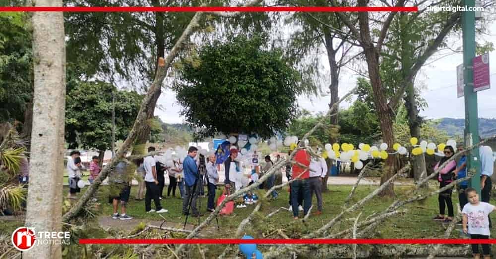 Vecinos de Los Sauces ya habían solicitado corta de árboles longevos