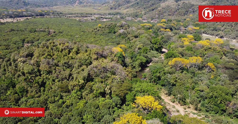 Comunidad guanacasteca impulsa corredor biológico con propietarios privados