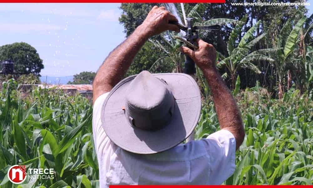 Nuevo sistema de riego ayudará a 60 familias a mantener cosechas durante sequía