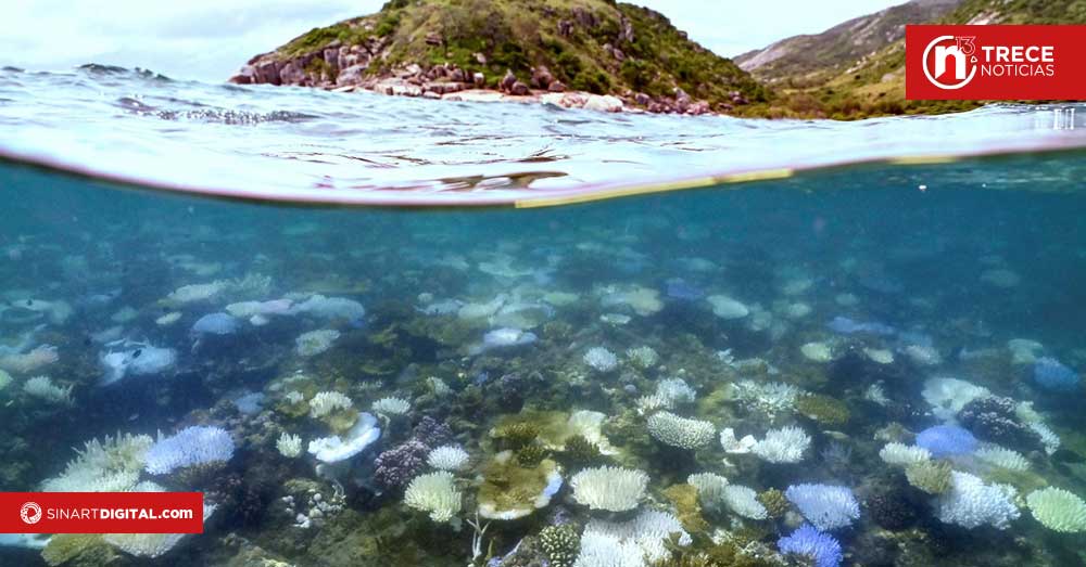 Los océanos del mundo rompen récord de calor en junio