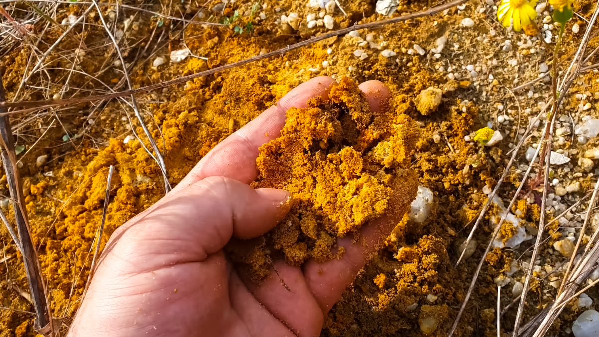 Minería ilegal en Crucitas: De la extracción artesanal a la profesionalización del crimen