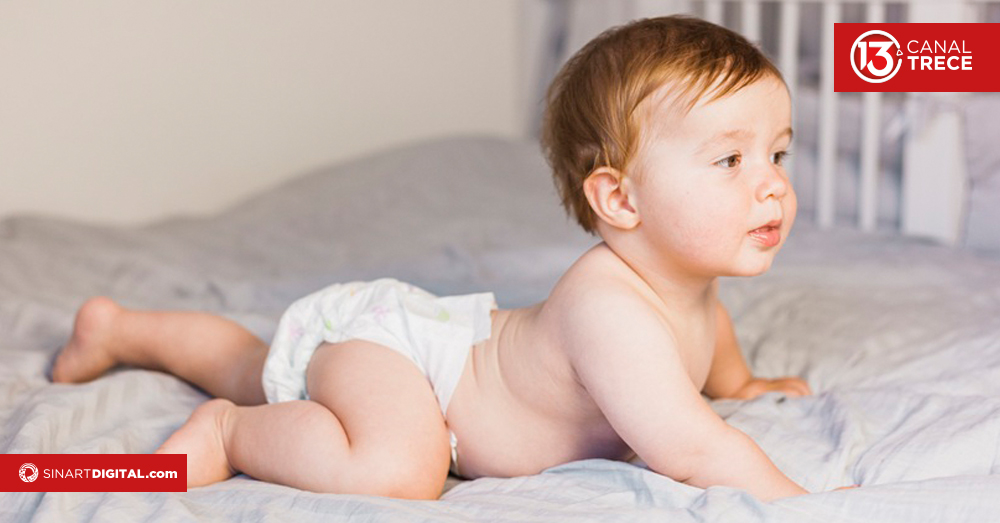 Así puede colaborar en la Pañatón 2025