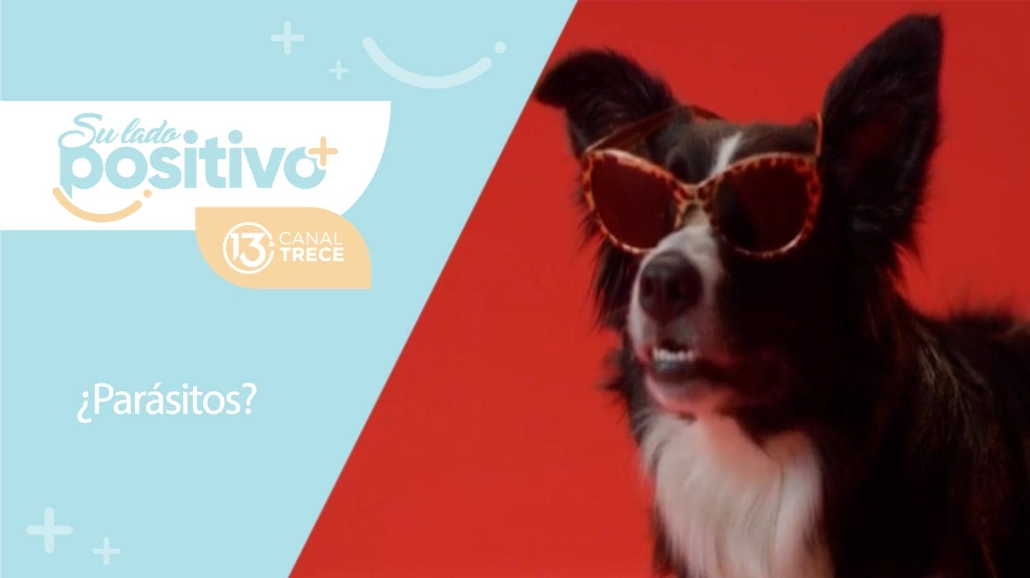 ¿Parásitos? | 20 setiembre 2023