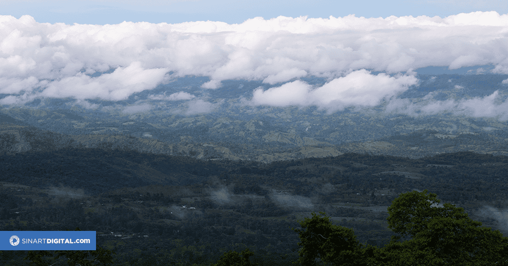 El Tesoro de la Amistad: Descúbralo en la Zona Sur de Costa Rica