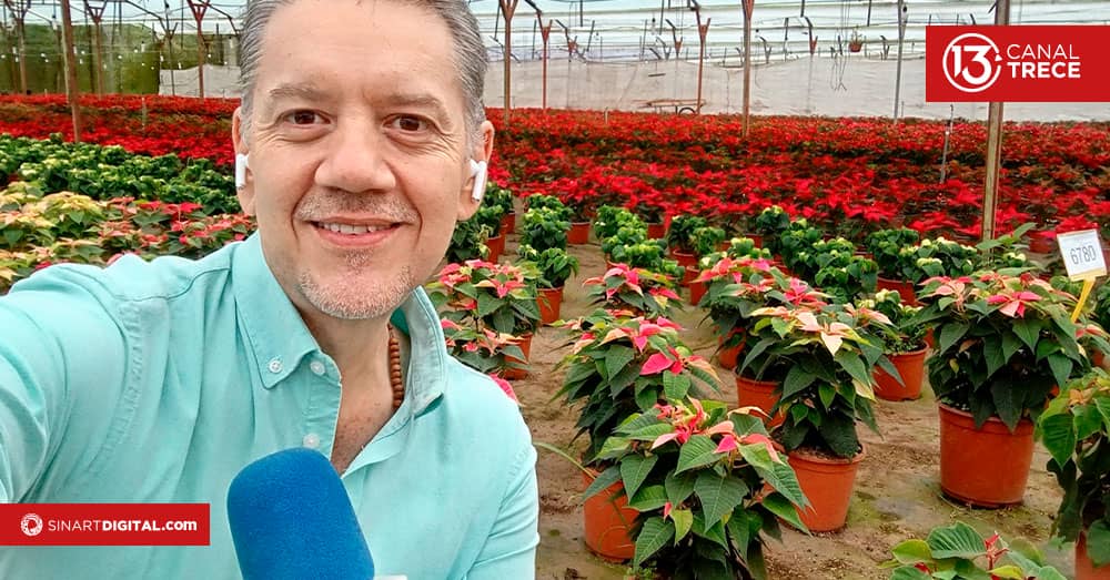 ¿Cómo escoger las mejores pastoras?