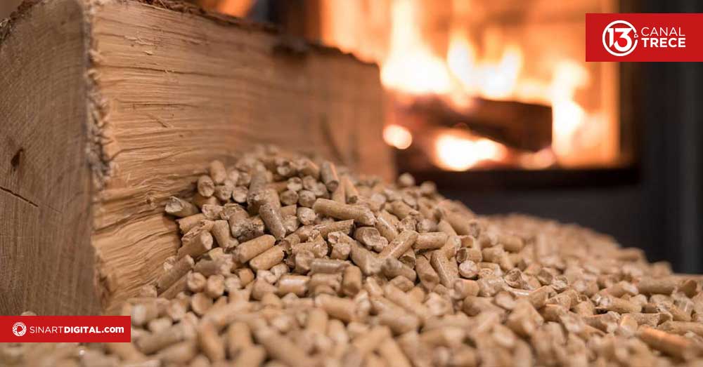 ¿Cómo se fabrican los pellets a partir de residuos madereros?
