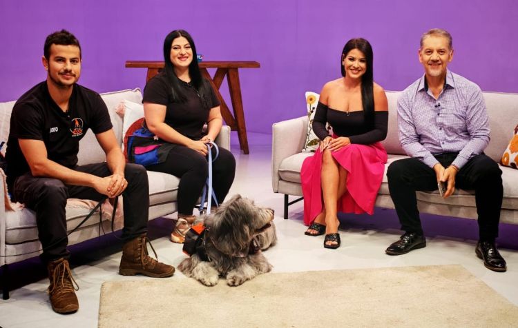 Estos peluditos trabajan dando terapia 