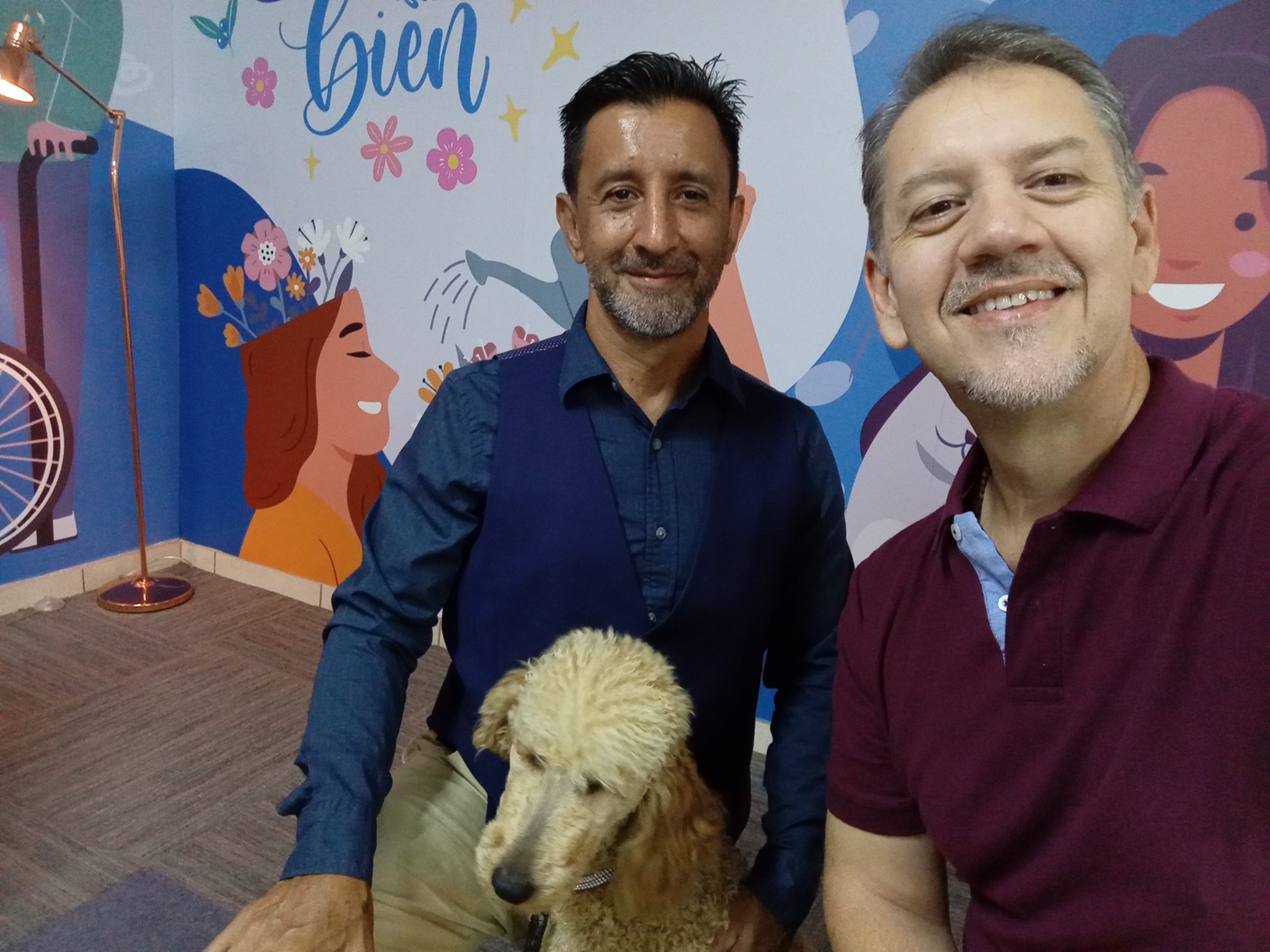 ¿Cómo entrenar un perro de apoyo emocional?