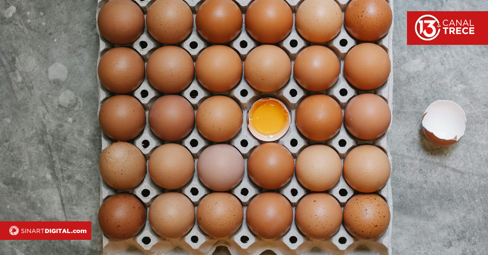 Huevo líquido pasteurizado hecho en Costa Rica