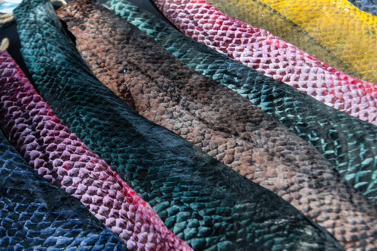 Mujeres curten piel de pescado en playa de Costa Rica para moda sustentable